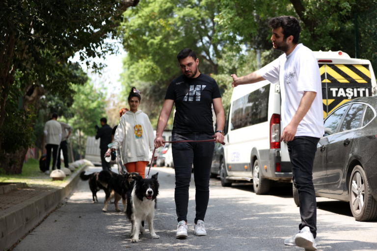 DOG WALKING IN TURKEY: A NATION THAT LOVES DOGS